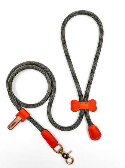 Klassieke Leiband - Hunter